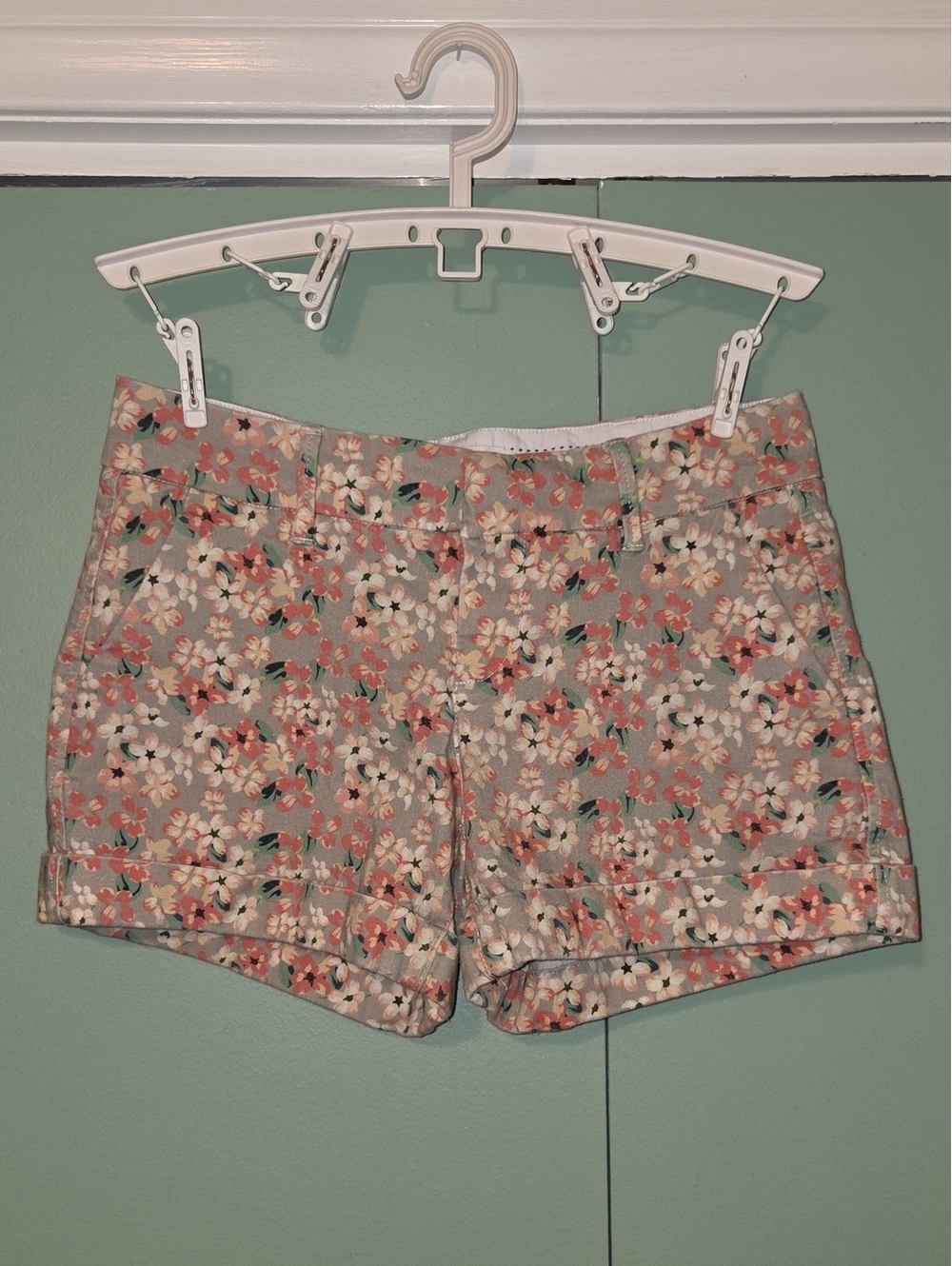 Dear John Floral Print Hampton Mid Rise Women's Shorts Size 28